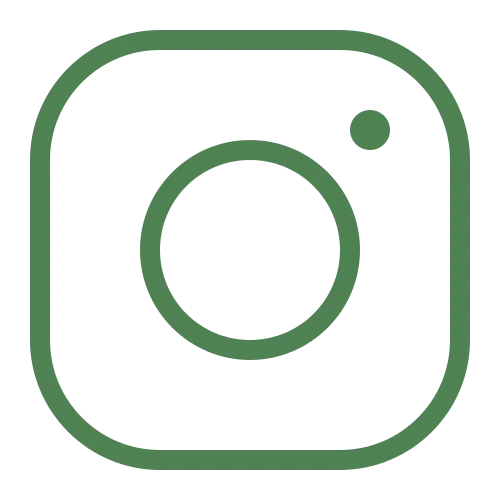 icons8-instagram-500 (1)