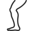 leg